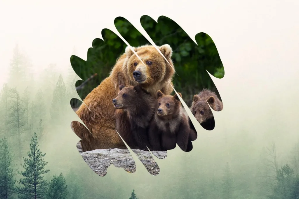 Παγκόσμια Ημέρα Άγριας Ζωής Featured Image